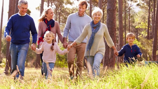 The Jubilee of Families, Children and the Elderly: Generations on the Move